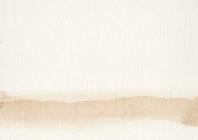 Palestine, Brou de noix 2007, 17x24cm 3