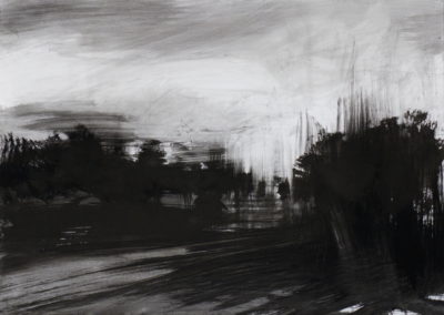 Encre 2008, 50x70cm 1