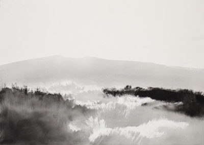 Encre 2008, 50x70cm 2