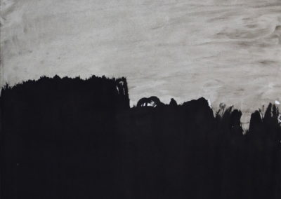 Encre 2008, 50x70cm 9
