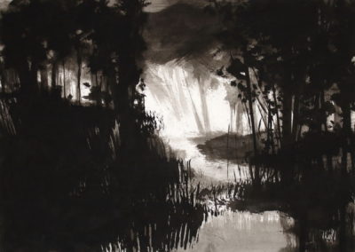 Marais, Encre 2009, 70x50cm-1