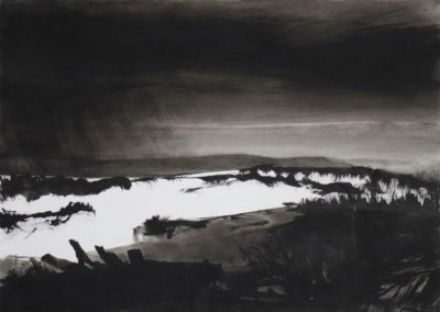 Marais, Encre 2009, 70x50cm-2