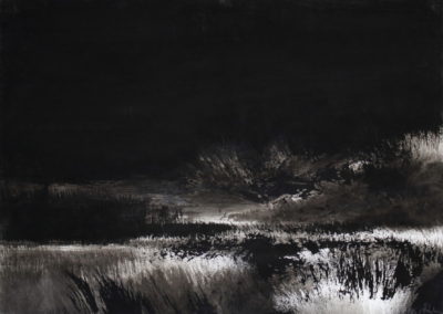 Marais, Encre 2009, 70x50cm-3