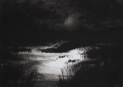 Marais, Encre 2009, 70x50cm-4
