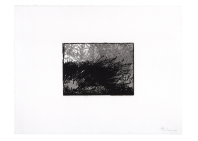 linogravure 1997, 11.5X8.5cm 12