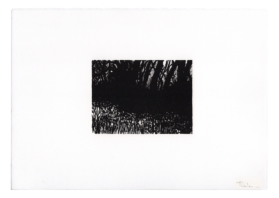 linogravure 1997, 11.5X8.5cm 16