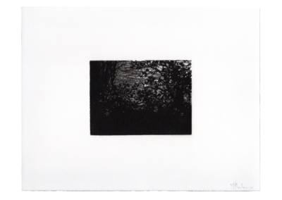 Linogravure 1997, 11.5X8.5cm 2