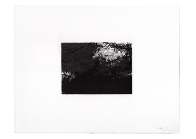 Linogravure 1997, 11.5X8.5cm 4