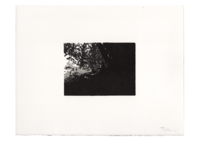 Linogravure 1997, 11.5X8.5cm 6