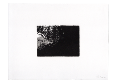 Linogravure 1997, 11.5X8.5cm 7