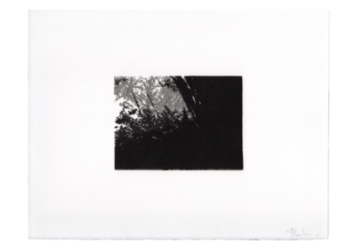 linogravure 1997, 11.5X8.5cm 8