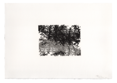 linogravure 1997, 11.5X8.5cm 9