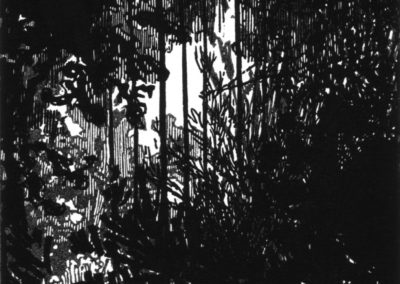 Serres, linogravure 1997, 11.5X17cm 1