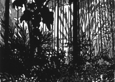 Serres, linogravure 1997, 11.5X17cm 4