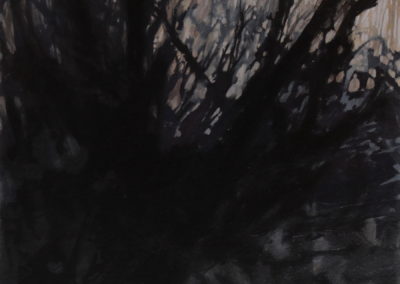 Forêt, Acryliques 2000, 50x50cm 1