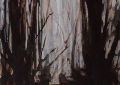 Forêt, Acryliques 2000, 50x50cm 2