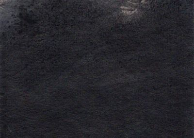 Huiles sur Gouaches 2007, 12x16.5cm-1