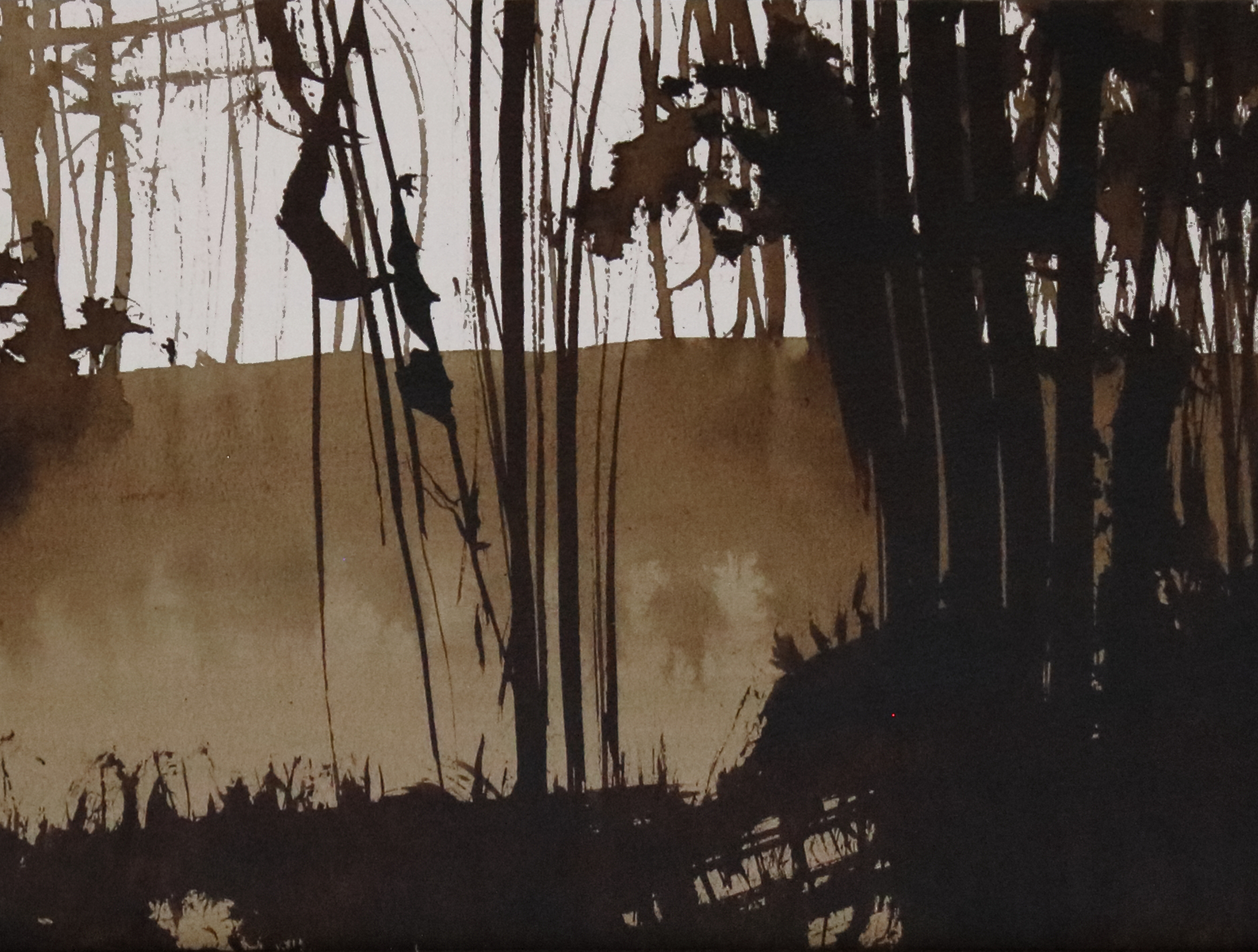 Vignette Brou de noix après 2005