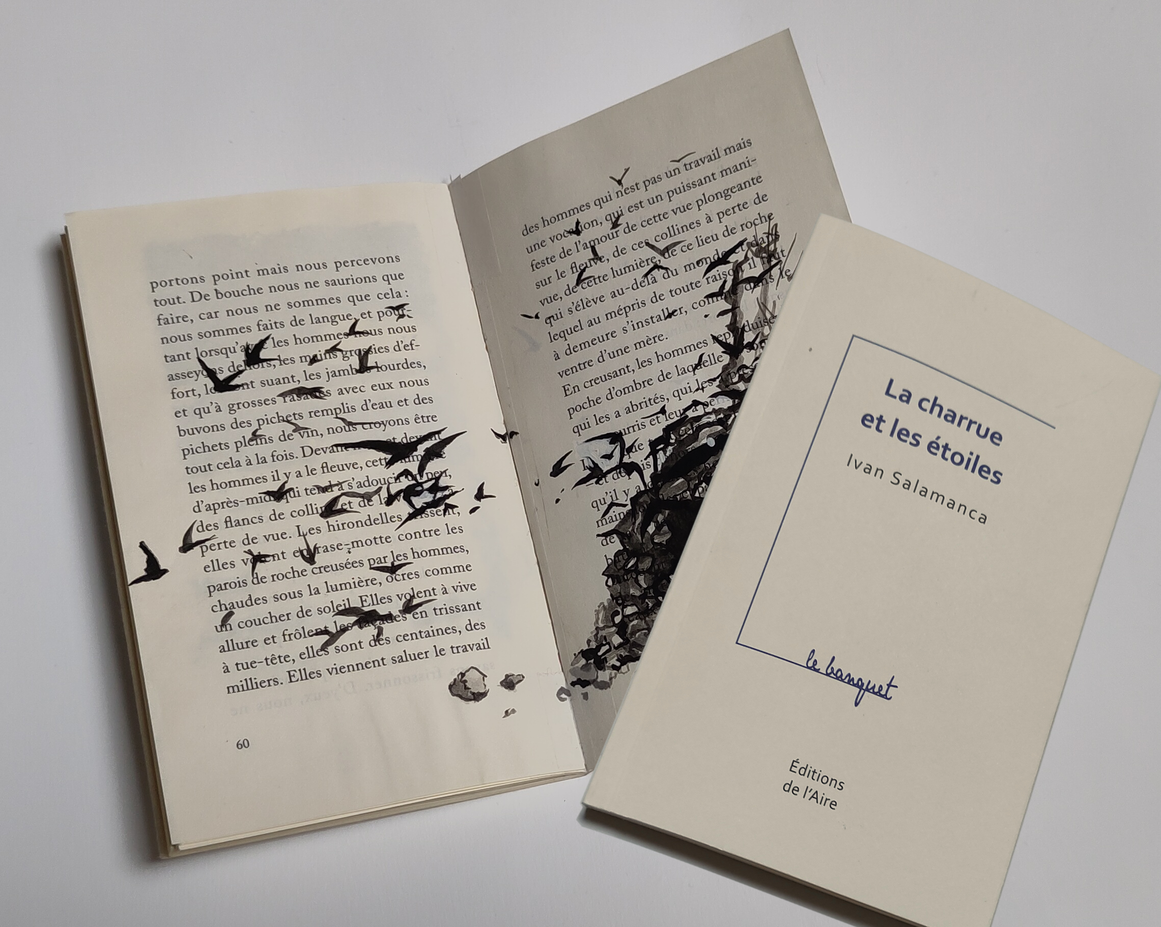 Vignette Collaborations