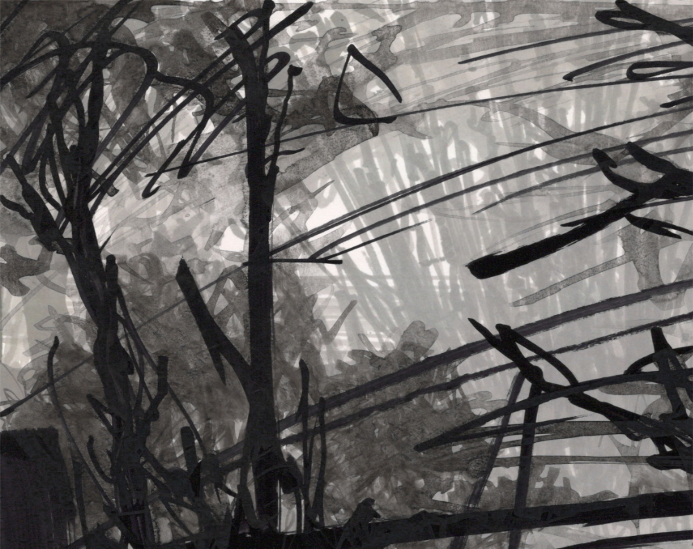 Vignette Feutre Avant 2005