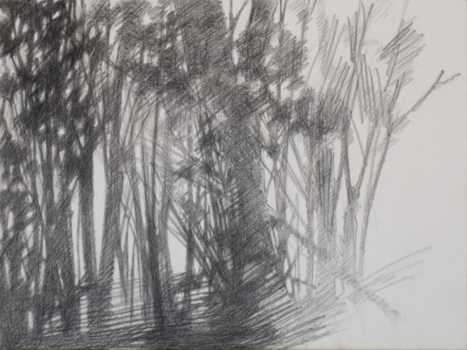 Vignette Fusain après 2005