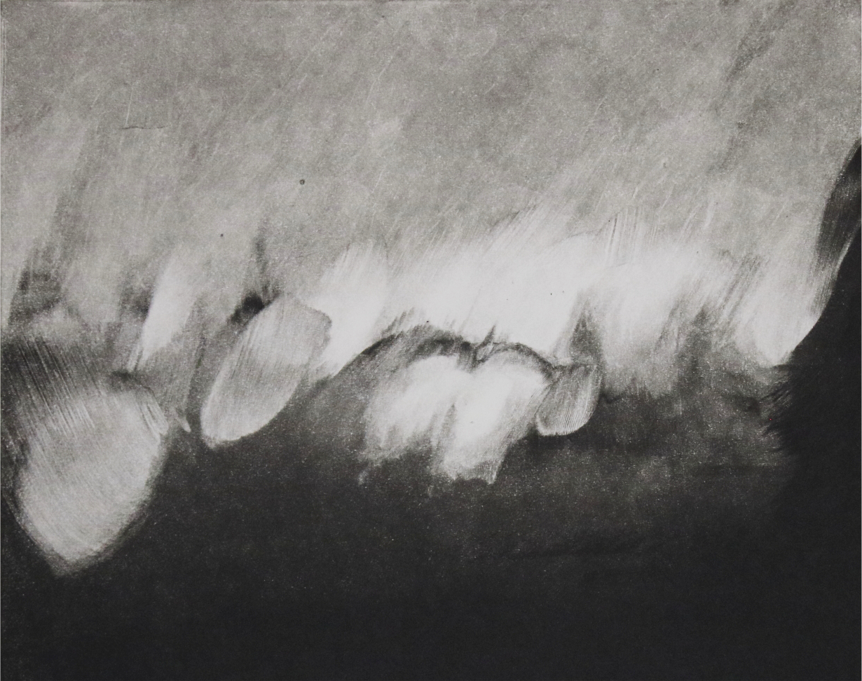 Vignette Monotype après 2005