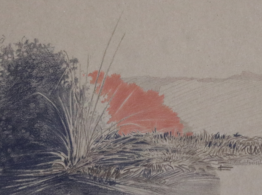 Vignette sanguine après 2005