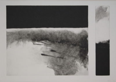 Monotype 2008, 35x50cm 1