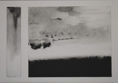 Monotype 2008, 35x50cm 2