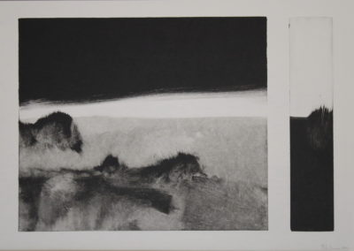 Monotype 2008, 35x50cm 3