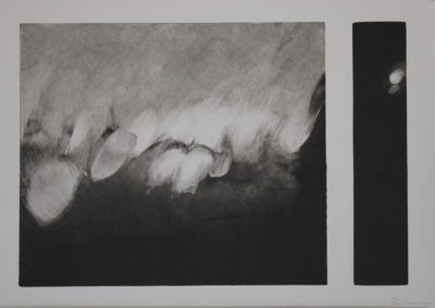 Monotype 2008, 35x50cm 5