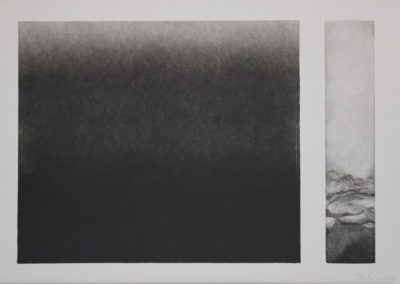 Monotype 2008, 35x50cm 6