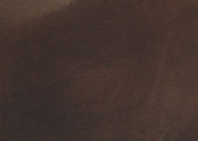 ESc-Broux_de_noix_17x242004-1