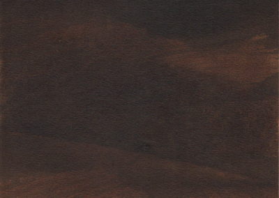 ESc-Broux_de_noix_17x242004_10