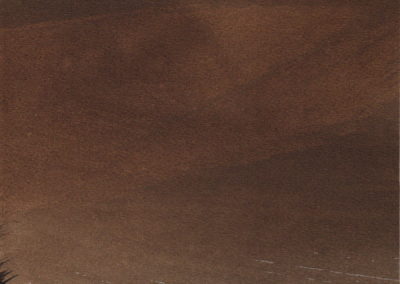 ESc-Broux_de_noix_17x242004_11