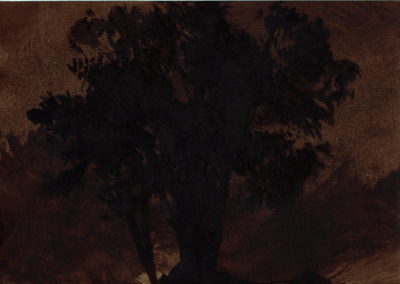 ESc-Broux_de_noix_17x242004_15