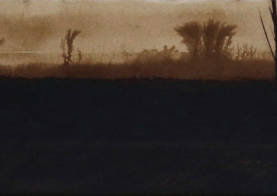 PPh-Broux_de_noix_2009_15x50_Jpg-1