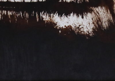 PPh-Broux_de_noix_2009_15x50_Jpg-3