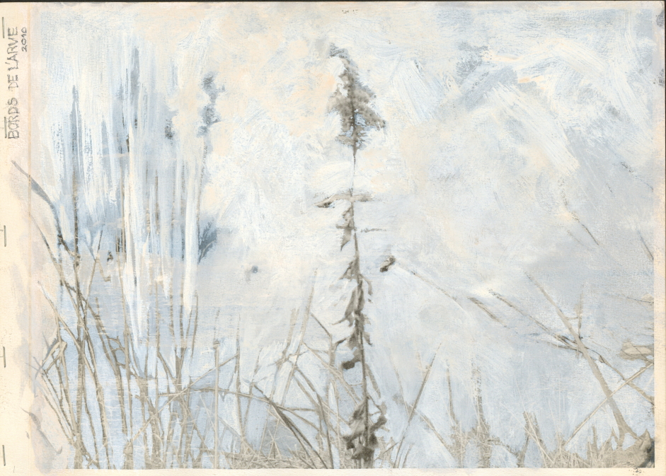 ARVE-gouache-sur-jet-dencre-2010-205x315-cm-Pages-1.jpg