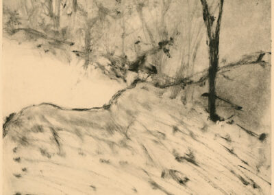 Monotype sur papier Java 35 x 29,5 cm.